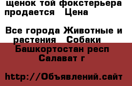 щенок той-фокстерьера продается › Цена ­ 25 000 - Все города Животные и растения » Собаки   . Башкортостан респ.,Салават г.